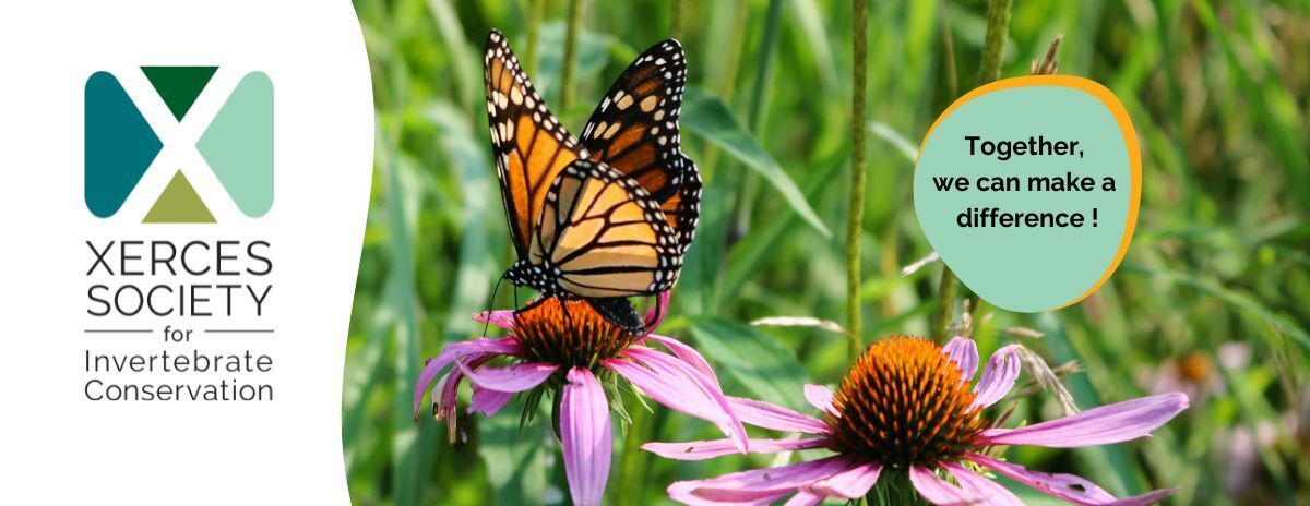 My fundraiser for Xerces