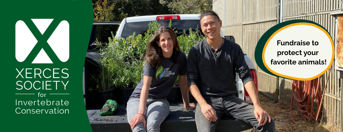 My fundraiser for Xerces